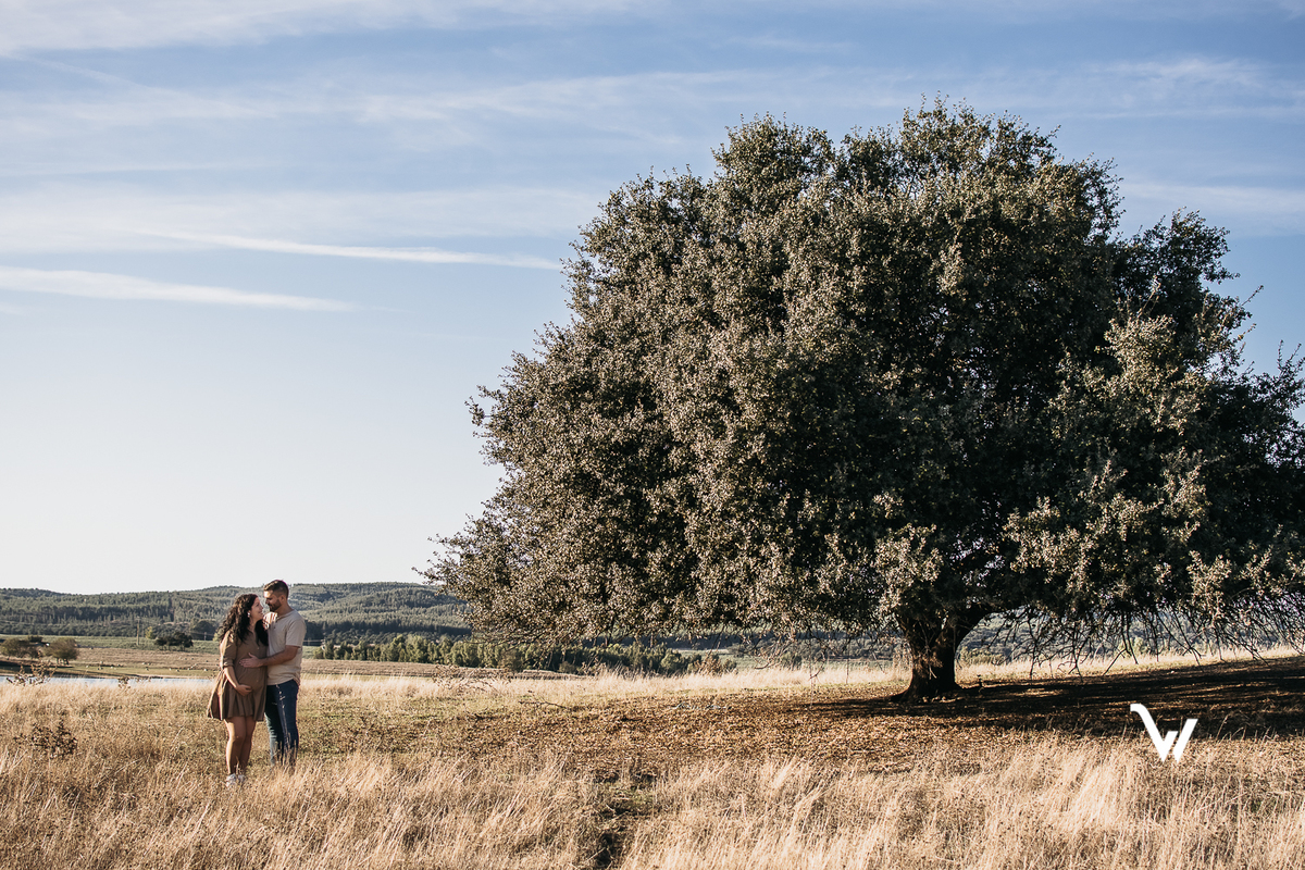 weclick sessões fotográficas maternidade fotógrafos évora campo 