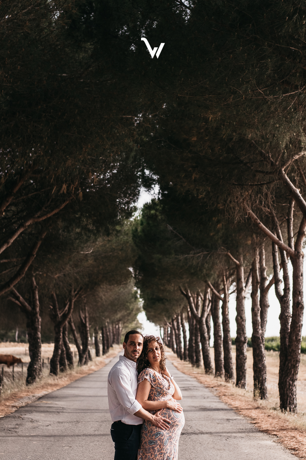 weclick sessões fotográficas maternidade fotógrafos évora campo vinhas
