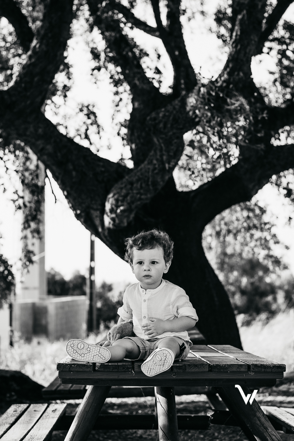 weclick sessões fotográficas familia criança fotógrafos évora campo alto de são bento