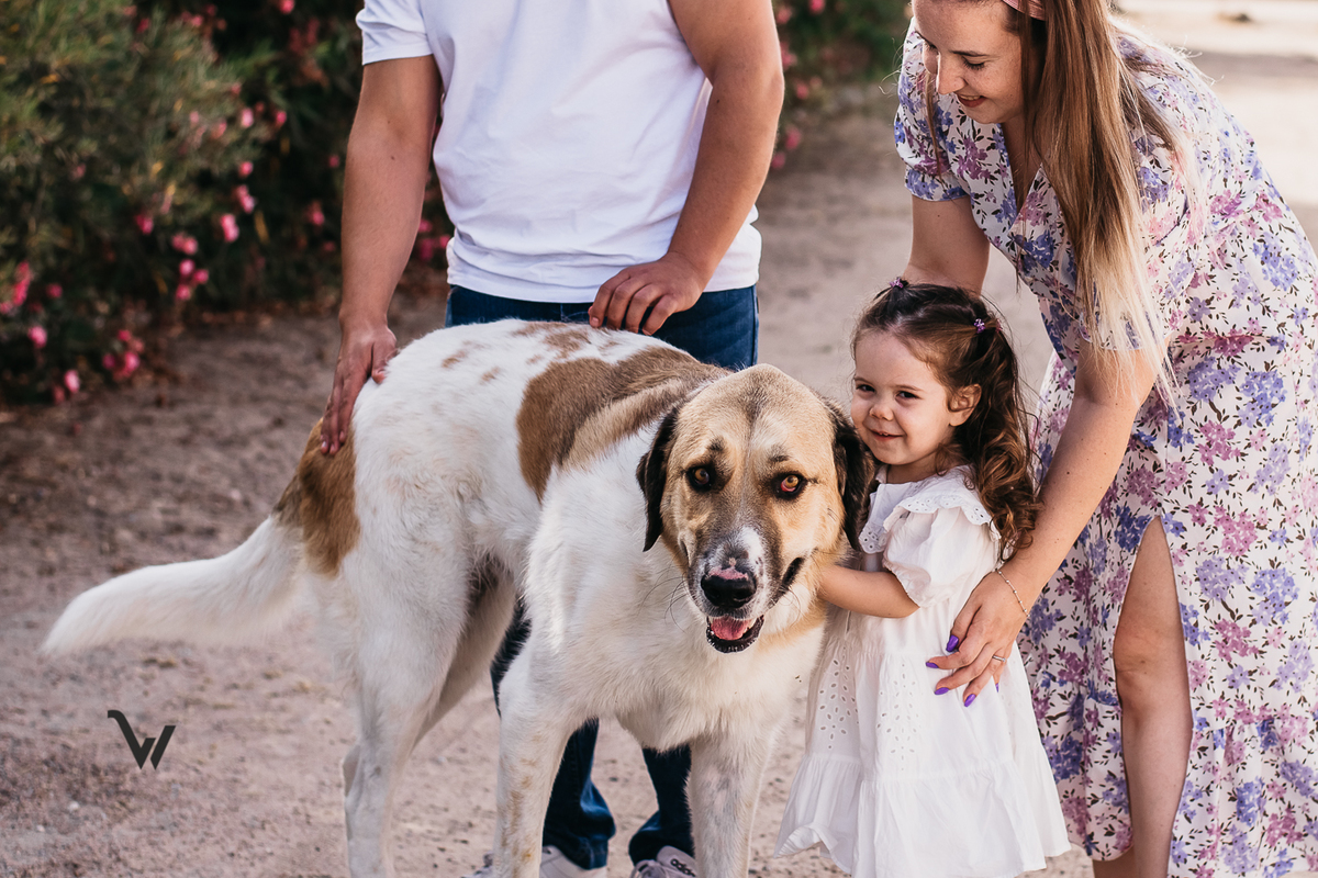 weclick fotógrafos évora alentejo campo familia criança sessão fotográfica