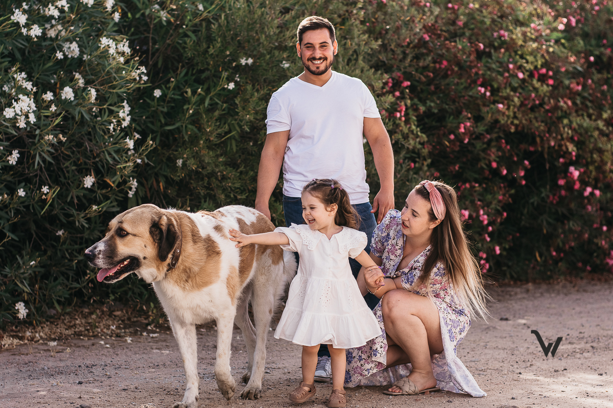 weclick fotógrafos évora alentejo campo familia criança sessão fotográfica