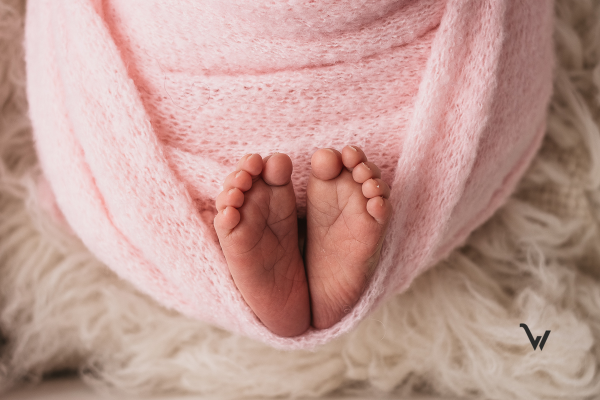 weclick fotógrafos évora maternidade newborn estúdio sessão fotográfica