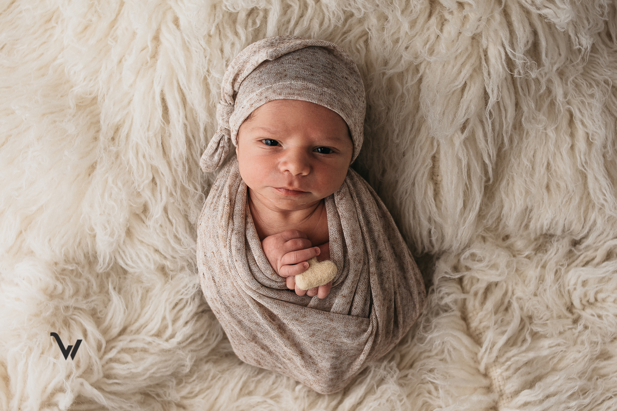 weclick maternidade newborn recem nascido criança fotógrafos évora alentejo estúdio sessão fotográfica