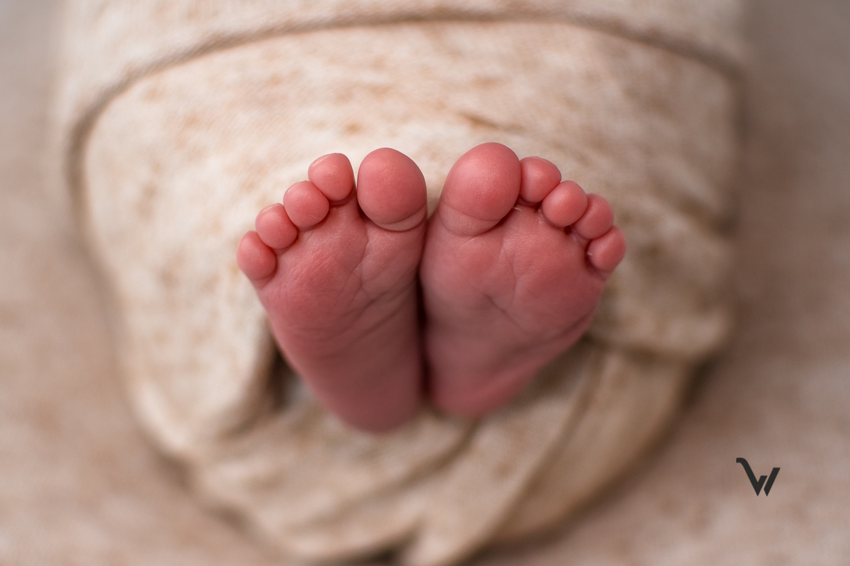 weclick fotógrafos évora maternidade newborn recem nascido natal estúdio sessão fotográfica