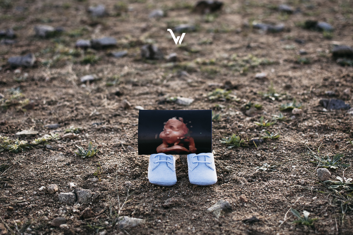 weclick maternidade newborn recem nascido gravidez fotógrafos évora sessão fotográfica alentejo campo barragem fotografia