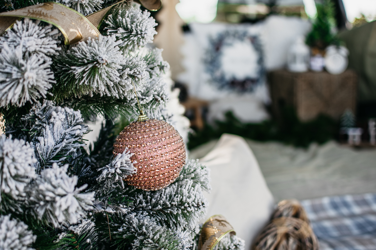 Sessão Fotográfica Natal 2023 Évora Alentejo Weclick Maternidade Newborn Familia Criança Casal