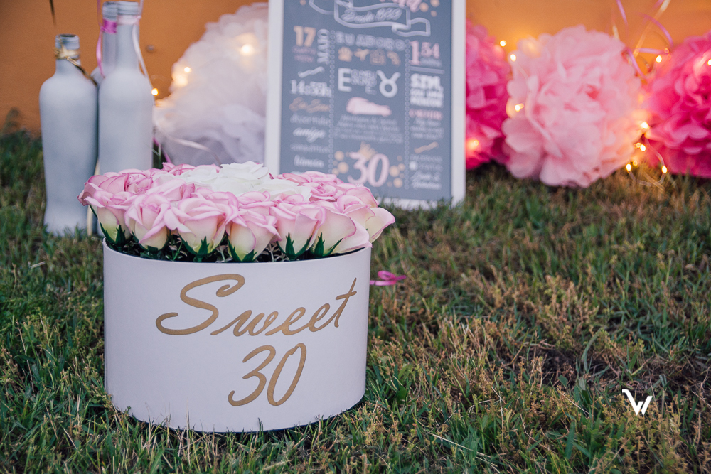 Smash the Cake retrato fotografosevora weclick