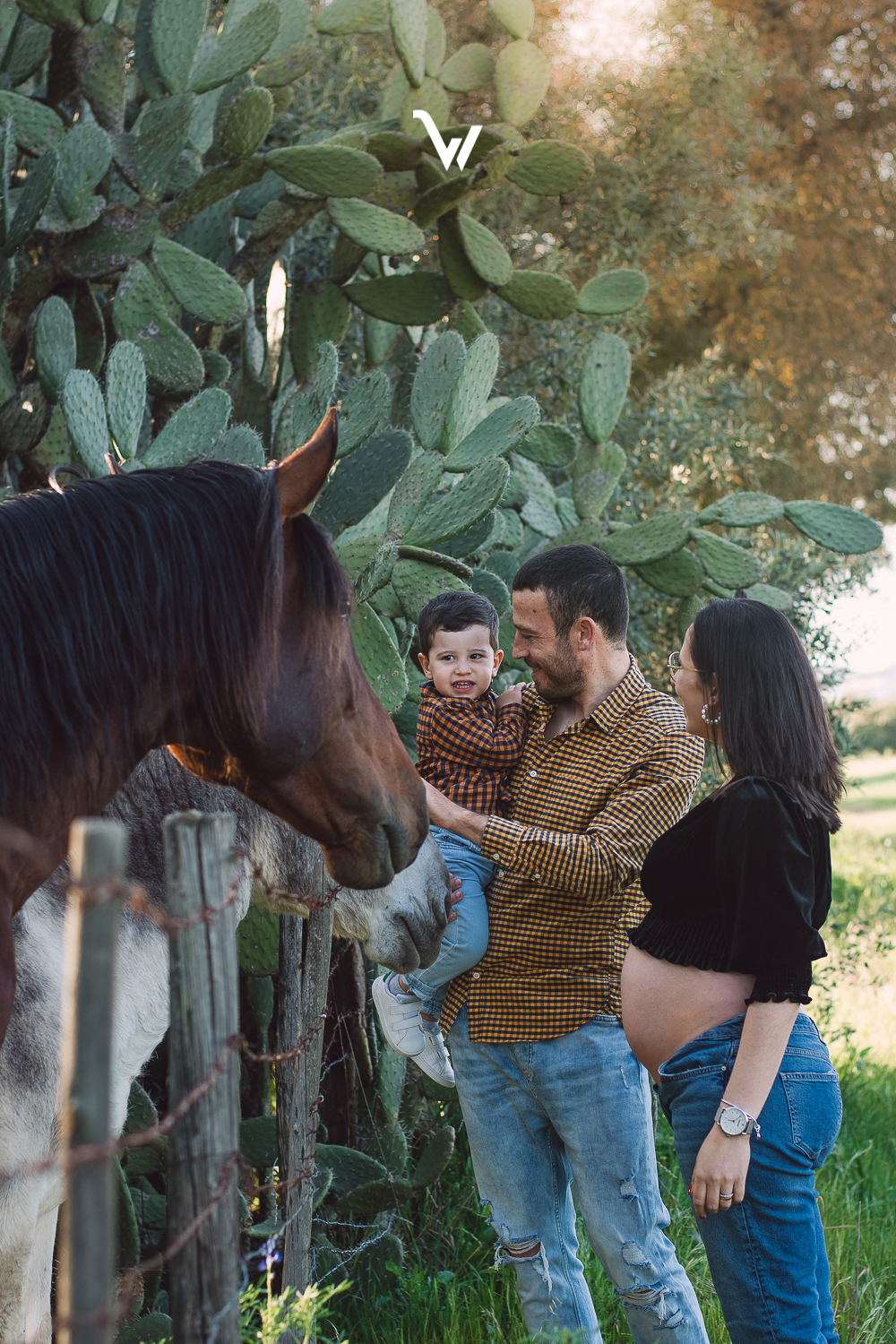 weclick maternidade newborn gravidez recém-nascido sessão fotográfica photoshoot évora campo
