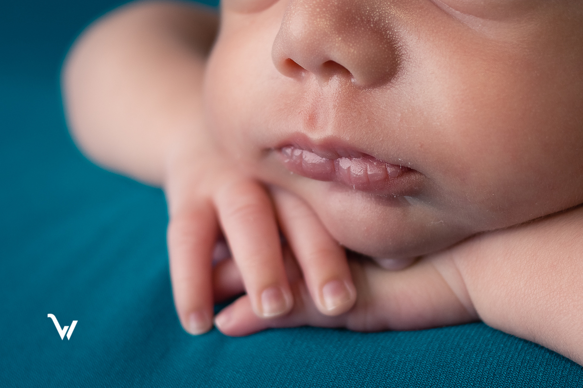 weclick fotografia newborn recém nascido fotógrafos évora estúdio maternidade sessão fotográfica alentejo
