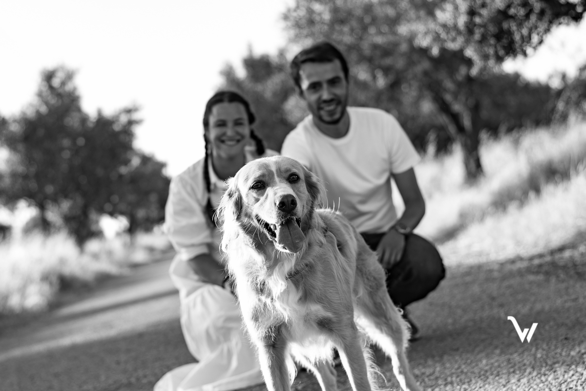 weclick fotógrafos évora sessão fotográfica campo animal estimação