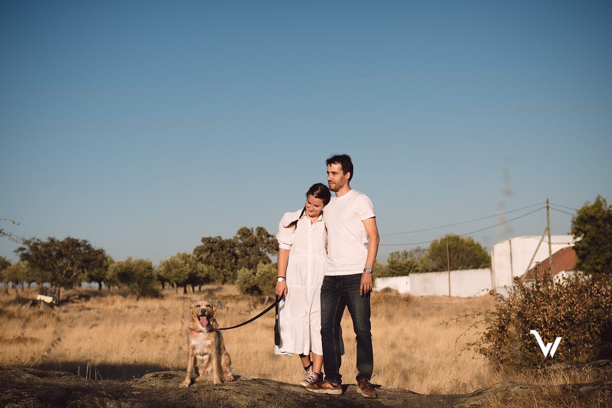 weclick fotógrafos évora sessão fotográfica campo animal estimação