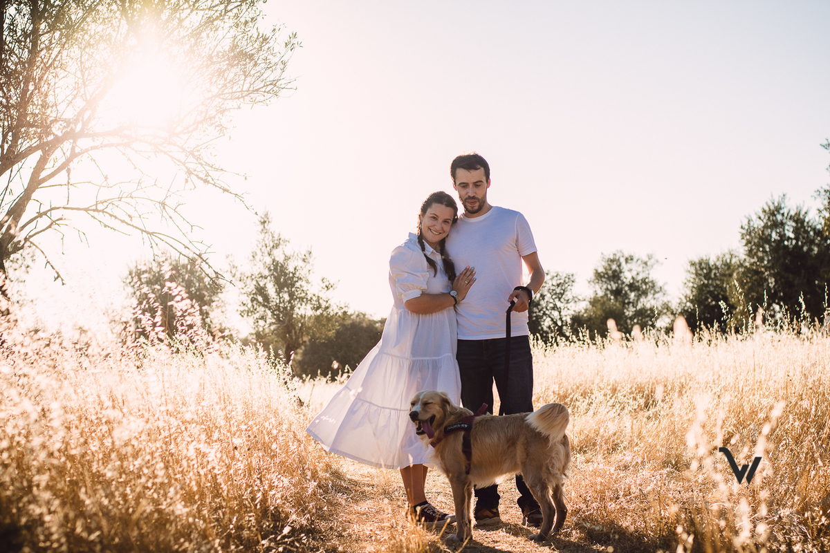 weclick fotógrafos évora sessão fotográfica campo animal estimação