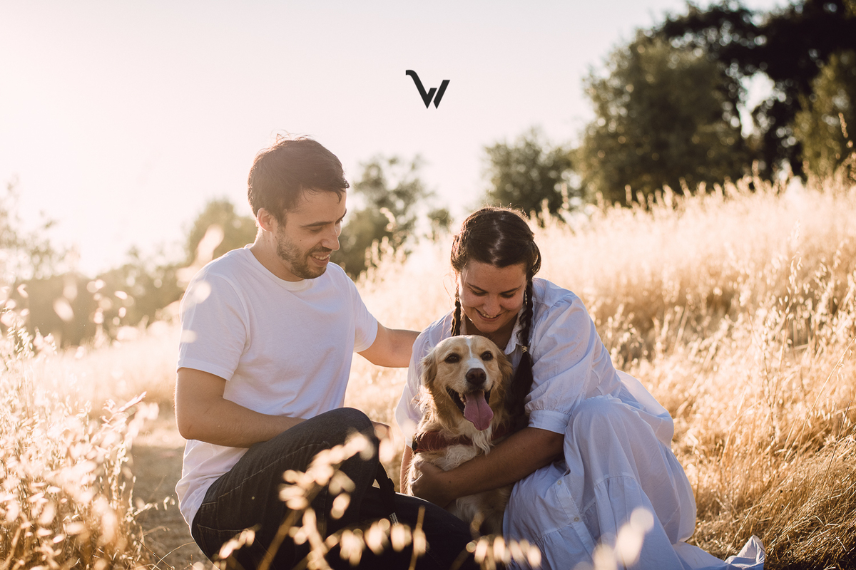 weclick fotógrafos évora sessão fotográfica campo animal estimação