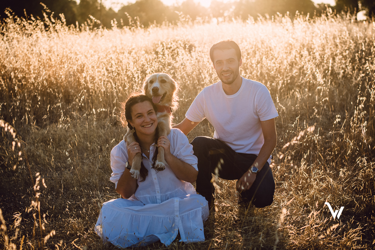 weclick fotógrafos évora sessão fotográfica campo animal estimação