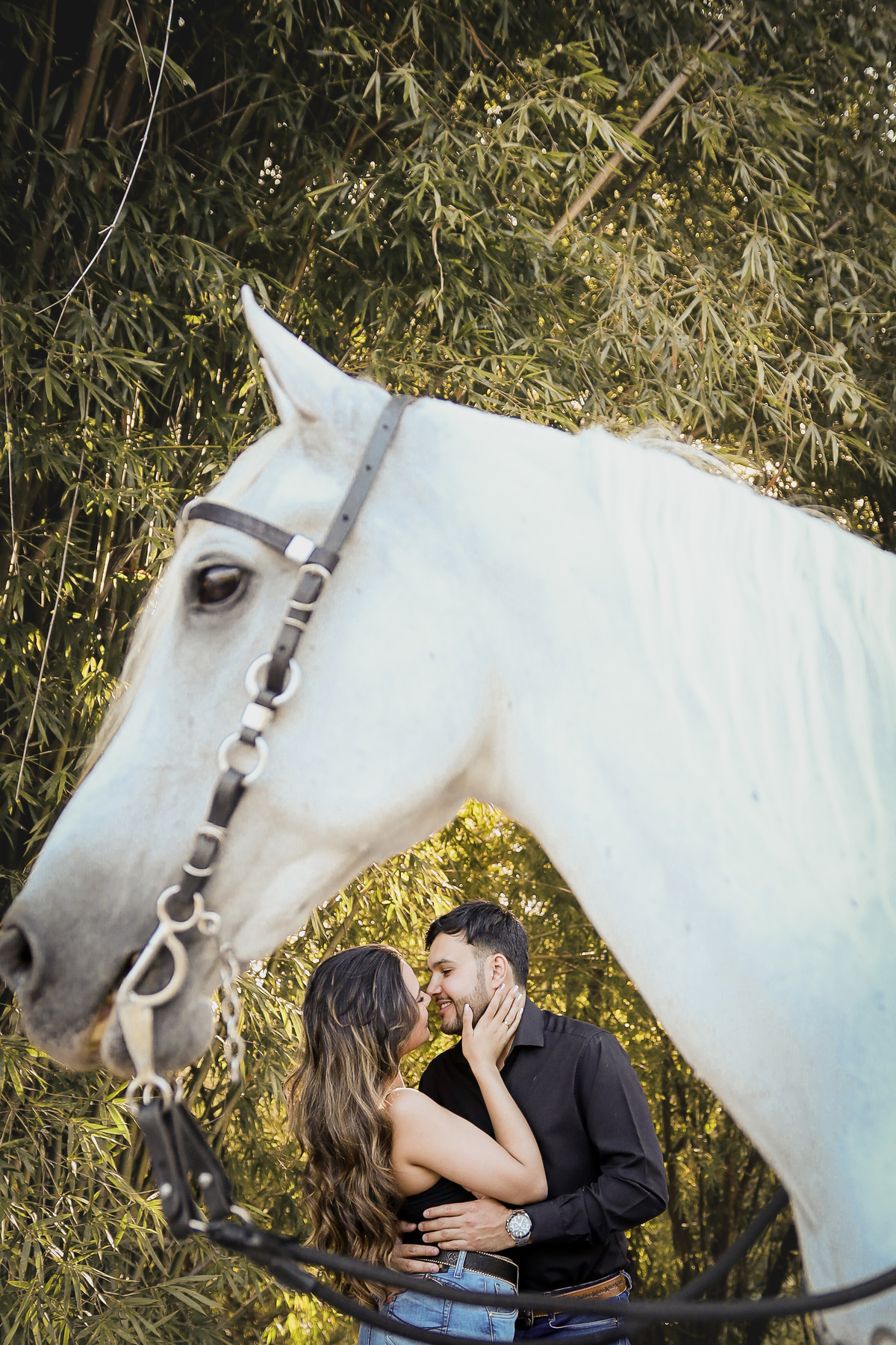 ensaio pré-wedding de Vanessa e Nilton Vamos marcar sua historia
Marques Mol