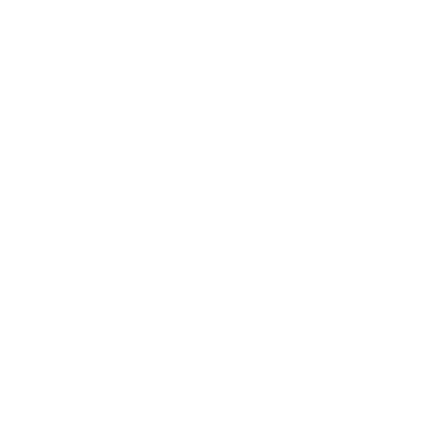 Logotipo de ana maiara