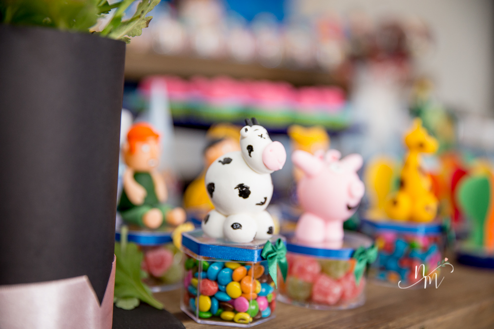 fotografia de aniversário - Natália Melo Fotografia