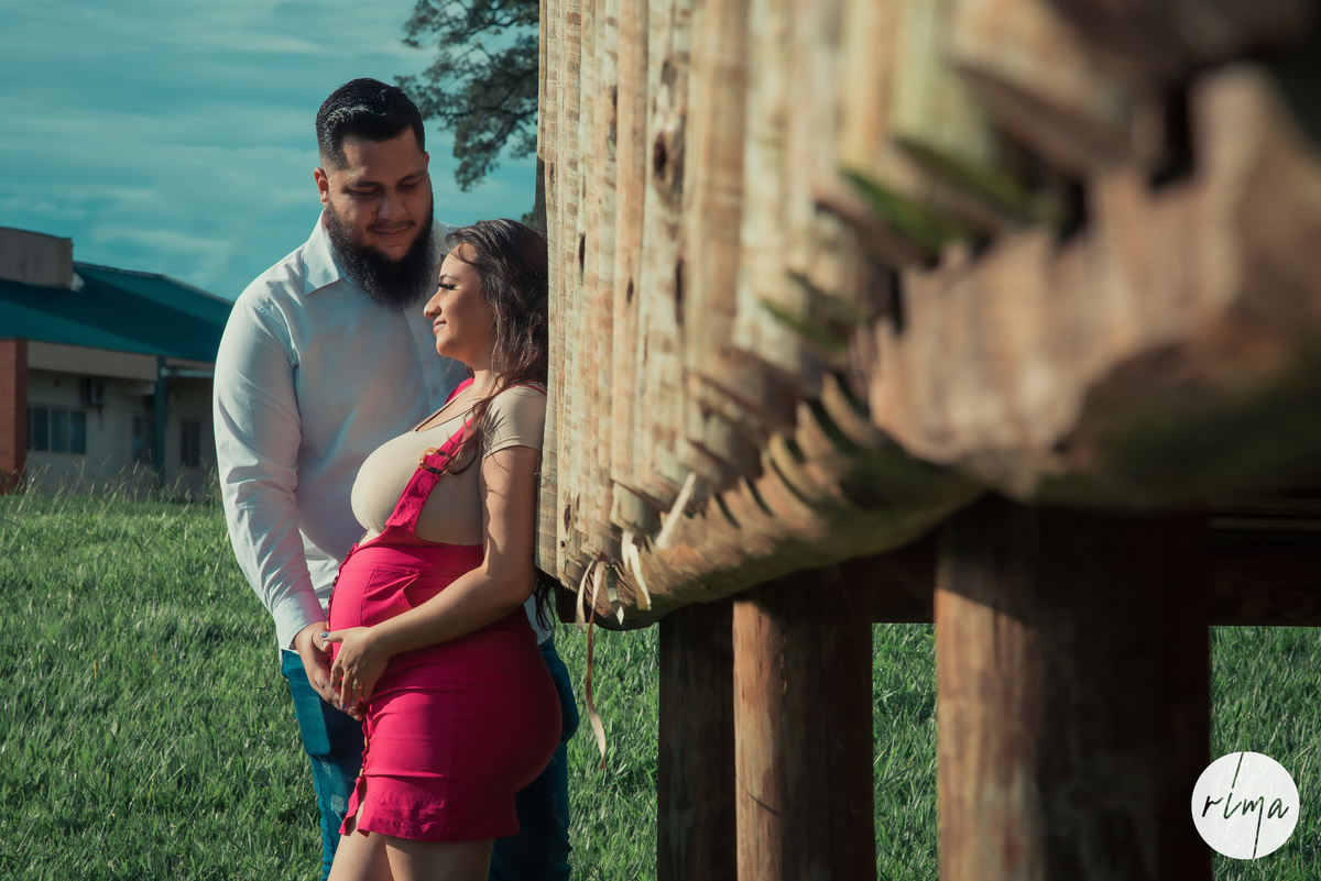 Fernanda Gestante (7)