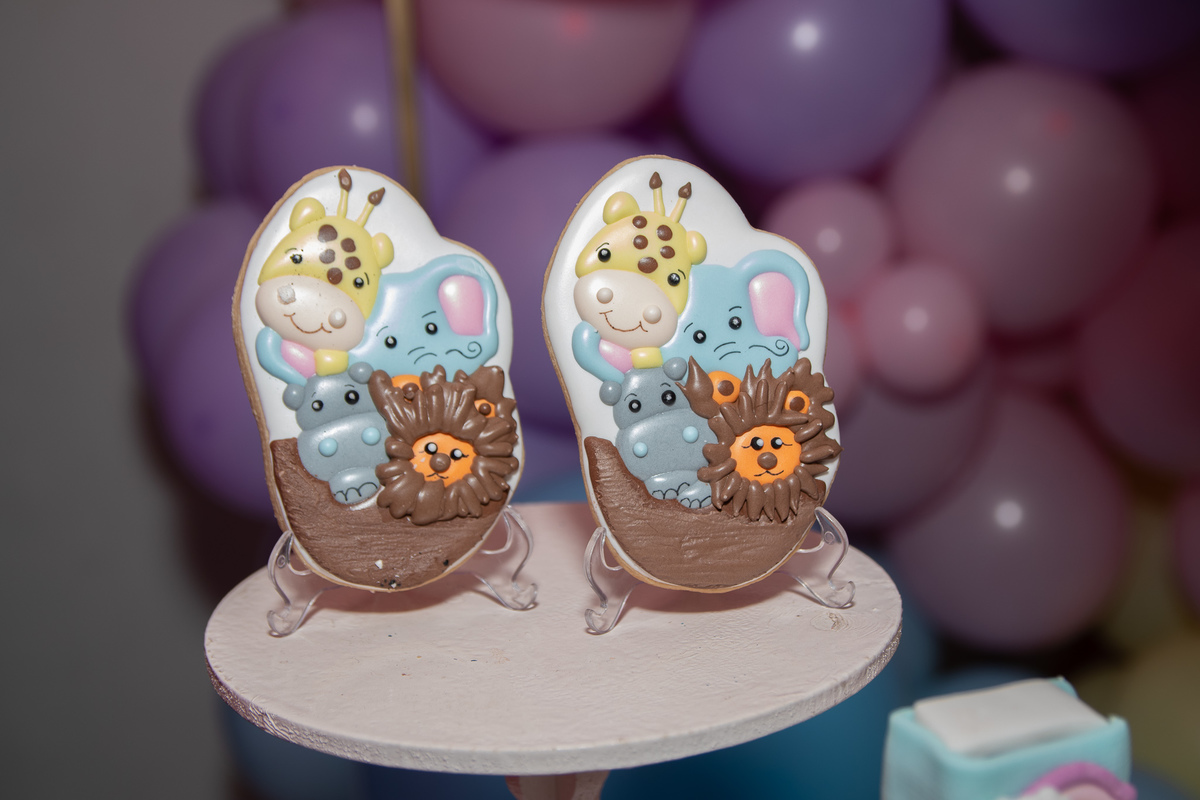 aniversario-liz-2-anos-arca-de-noe-espaço-sonho-meu-contagem-marcos-felipe-fotografia-belo-horizonte-aniversário-infantil-fotográfo