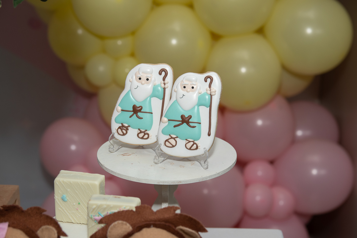 aniversario-liz-2-anos-arca-de-noe-espaço-sonho-meu-contagem-marcos-felipe-fotografia-belo-horizonte-aniversário-infantil-fotográfo