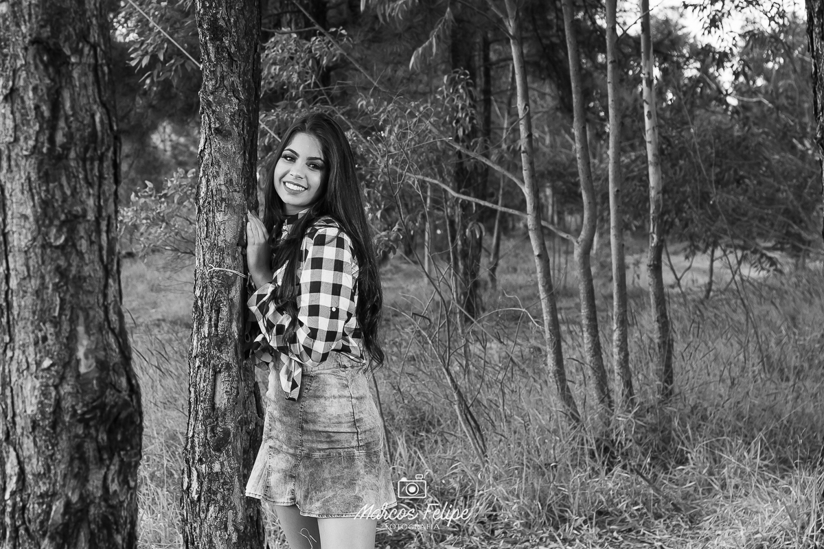 book-15-anos-linha-de-trem-belvedere-marcos-felipe-fotografia