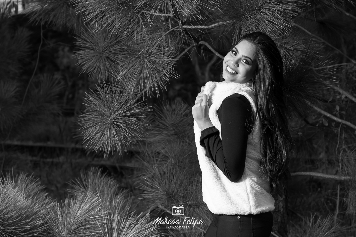 book-15-anos-linha-de-trem-belvedere-marcos-felipe-fotografia