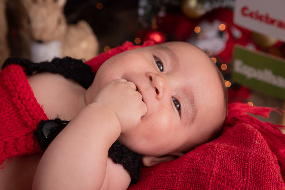 ensaio-de-natal-bh-belo-horizonte-marcos-felipe-fotografia-estudio