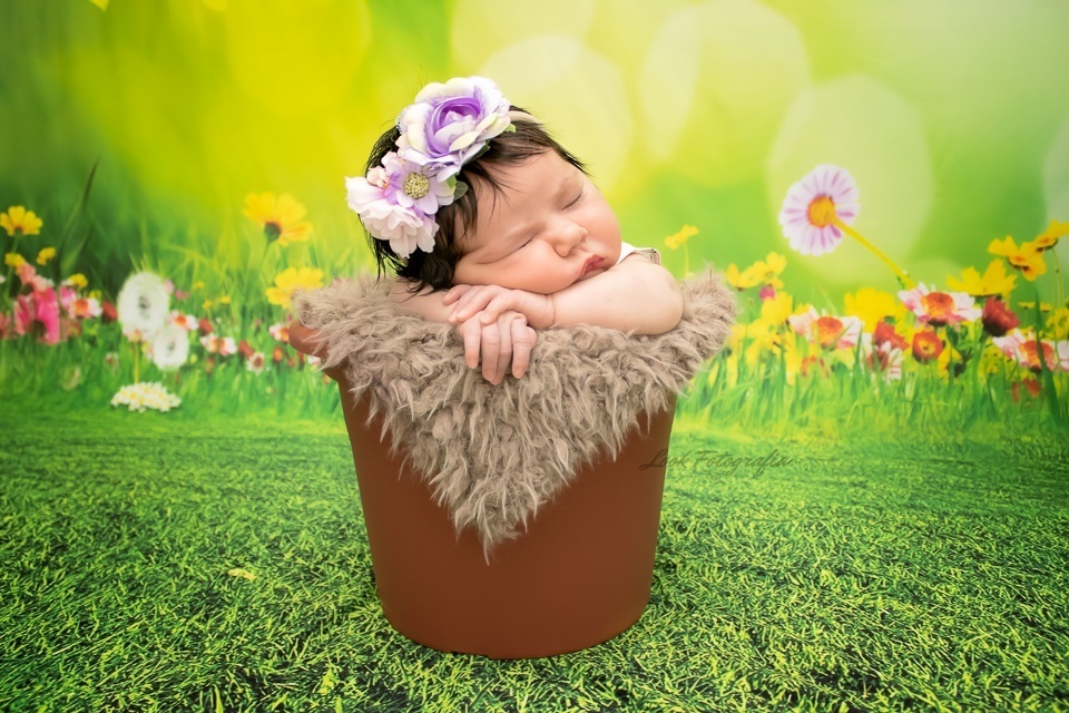 Recém nascido
Newborn
Fotografo Fernão Ferro
Jeanne Look
Jeanne Look fotografias