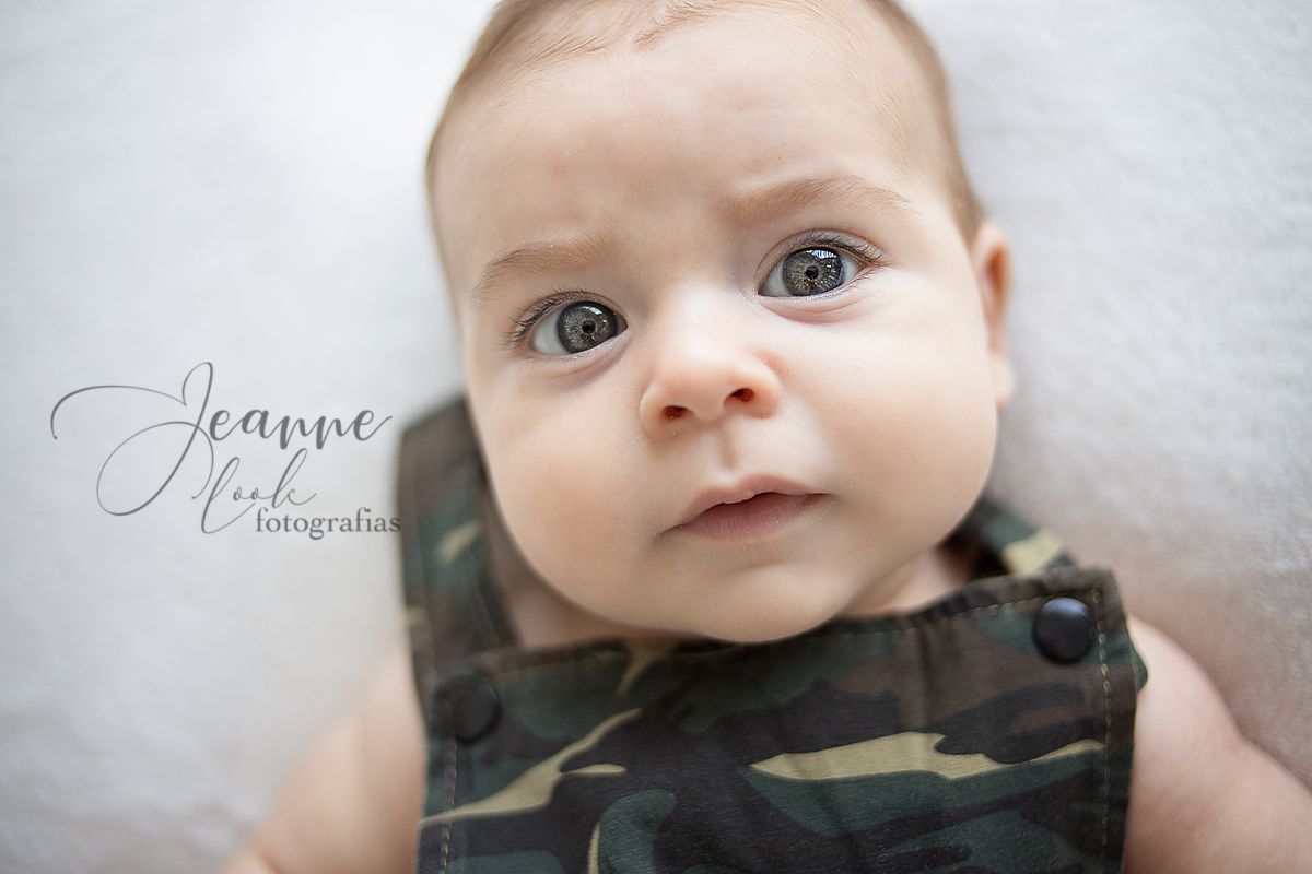 fotografia de detalhes