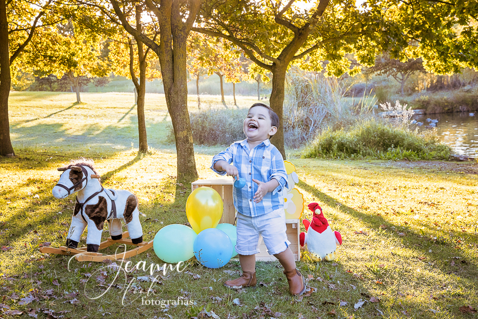 festa tema fazendinha