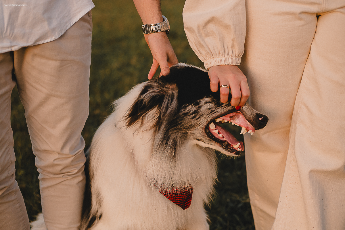 ensaio-pre-casamento-fotógrafo-casais-fotos-românticas-afetividade-conexão-luz-natural-rio-grande-do-sul-camaquã-rs-amor-história-real-spontaneidade-natureza-editorial-visual-afetivo-registro-emoção-ensaio-external-lifestyle-casal-noivos-fotografia-autor