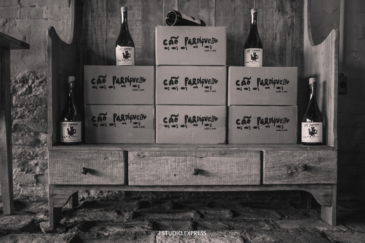 estúdio fotográfico-fotografo-família-15anos-ensaio-casamento-formatura-book de fotos-fotografa-ensaio gestante-festa de 15 anos-pré wedding-fotos profissionais-corporativos-retratos-fotos de bebê-sessão de fotos-mini wedding-dia do fotografo-ensaio newbo