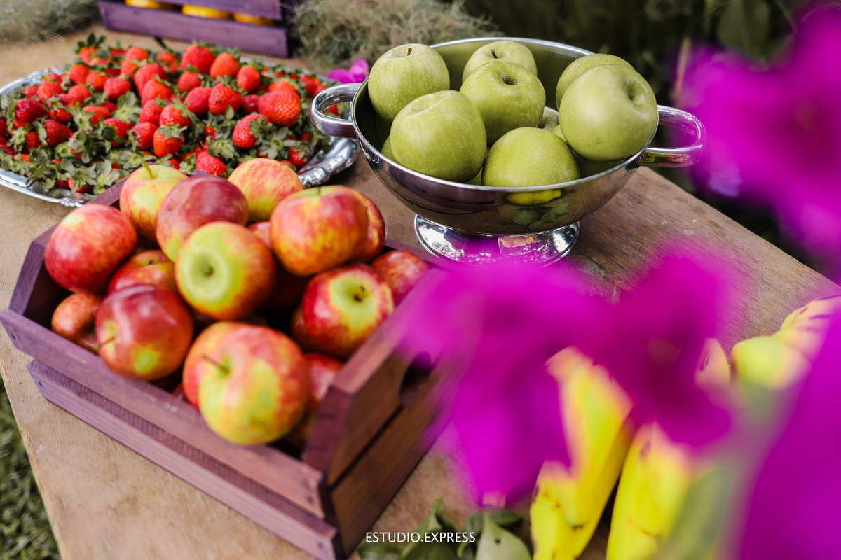 estúdio fotográfico-fotografo-família-15anos-ensaio-casamento-formatura-book de fotos-fotografa-ensaio gestante-festa de 15 anos-pré wedding-fotos profissionais-corporativos-retratos-fotos de bebê-sessão de fotos-mini wedding-dia do fotografo-ensaio newbo