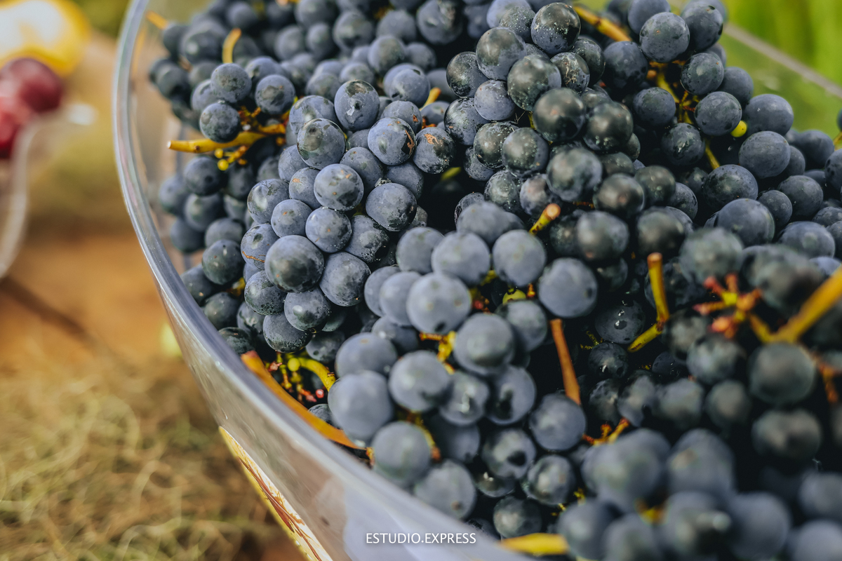 estúdio fotográfico-fotografo-família-15anos-ensaio-casamento-formatura-book de fotos-fotografa-ensaio gestante-festa de 15 anos-pré wedding-fotos profissionais-corporativos-retratos-fotos de bebê-sessão de fotos-mini wedding-dia do fotografo-ensaio newbo