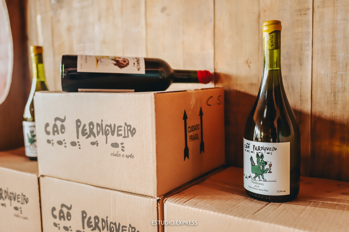 estúdio fotográfico-fotografo-família-15anos-ensaio-casamento-formatura-book de fotos-fotografa-ensaio gestante-festa de 15 anos-pré wedding-fotos profissionais-corporativos-retratos-fotos de bebê-sessão de fotos-mini wedding-dia do fotografo-ensaio newbo