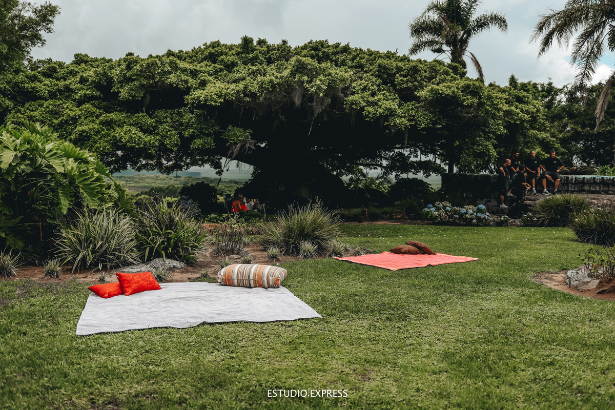 estúdio fotográfico-fotografo-família-15anos-ensaio-casamento-formatura-book de fotos-fotografa-ensaio gestante-festa de 15 anos-pré wedding-fotos profissionais-corporativos-retratos-fotos de bebê-sessão de fotos-mini wedding-dia do fotografo-ensaio newbo