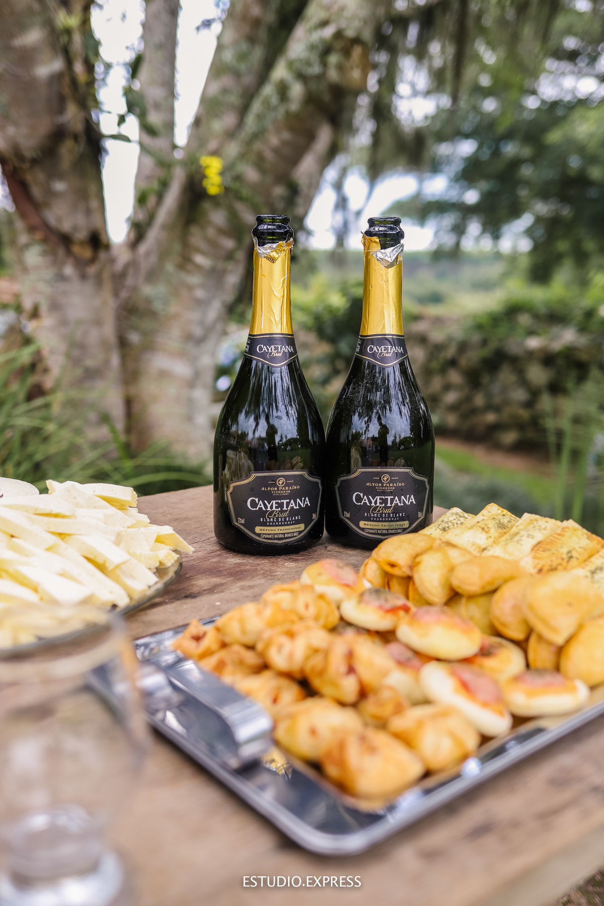 estúdio fotográfico-fotografo-família-15anos-ensaio-casamento-formatura-book de fotos-fotografa-ensaio gestante-festa de 15 anos-pré wedding-fotos profissionais-corporativos-retratos-fotos de bebê-sessão de fotos-mini wedding-dia do fotografo-ensaio newbo