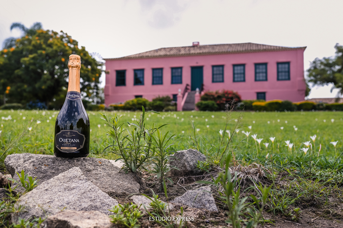 estúdio fotográfico-fotografo-família-15anos-ensaio-casamento-formatura-book de fotos-fotografa-ensaio gestante-festa de 15 anos-pré wedding-fotos profissionais-corporativos-retratos-fotos de bebê-sessão de fotos-mini wedding-dia do fotografo-ensaio newbo