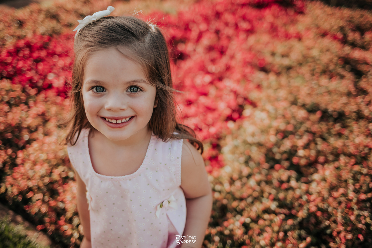 estúdio fotográfico-fotografo-família-15anos-ensaio-casamento-formatura-book de fotos-fotografa-ensaio gestante-festa de 15 anos-pré wedding-fotos profissionais-corporativos-retratos-fotos de bebê-sessão de fotos-mini wedding-dia do fotografo-ensaio newbo