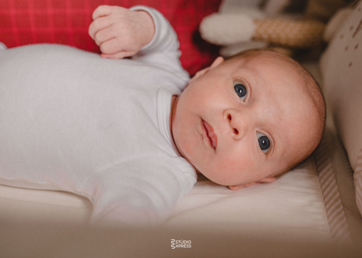 estúdio fotográfico-fotografo-família-15anos-ensaio-casamento-formatura-book de fotos-fotografa-ensaio gestante-festa de 15 anos-pré wedding-fotos profissionais-corporativos-retratos-fotos de bebê-sessão de fotos-mini wedding-dia do fotografo-ensaio newbo