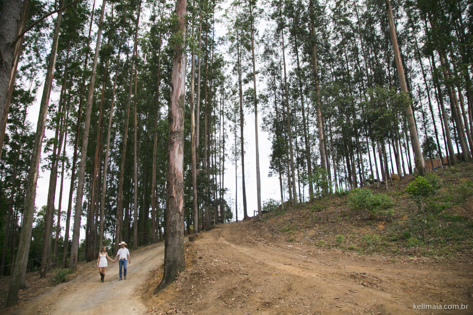 noivos andando no meio dos eucaliptos