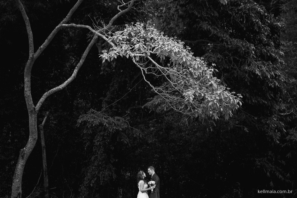 noivos embaixo da árvore