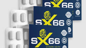 Logotipo de SX66 ME Netherlands
