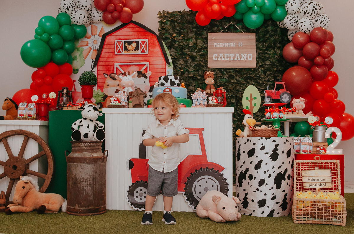 2 ANO, ANIVERSÁRIO, CRIANÇA, FESTA, INFANTIL, MENINO, PATRICIA LOPES, SÃO LEOPOLDO