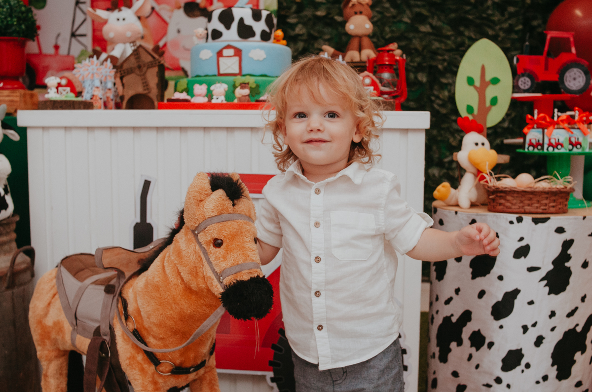 2 ANO, ANIVERSÁRIO, CRIANÇA, FESTA, INFANTIL, MENINO, PATRICIA LOPES, SÃO LEOPOLDO