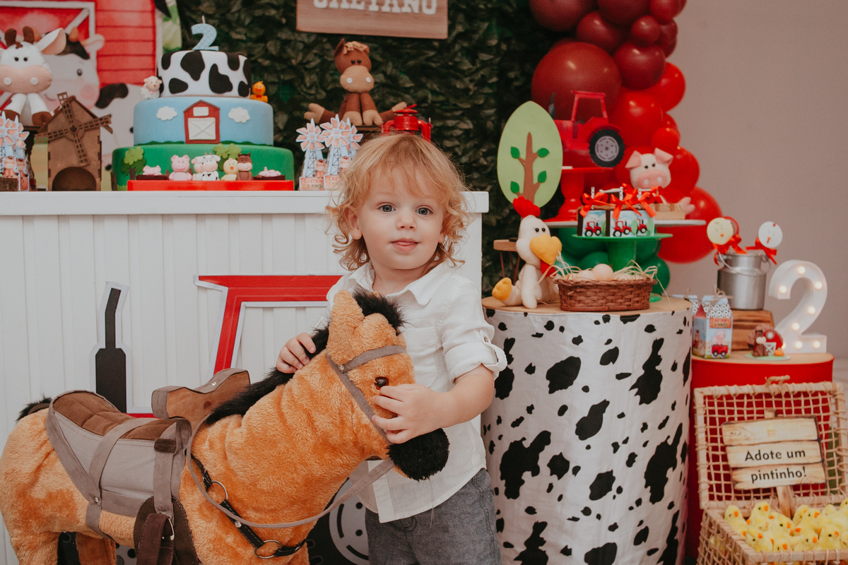 2 ANO, ANIVERSÁRIO, CRIANÇA, FESTA, INFANTIL, MENINO, PATRICIA LOPES, SÃO LEOPOLDO