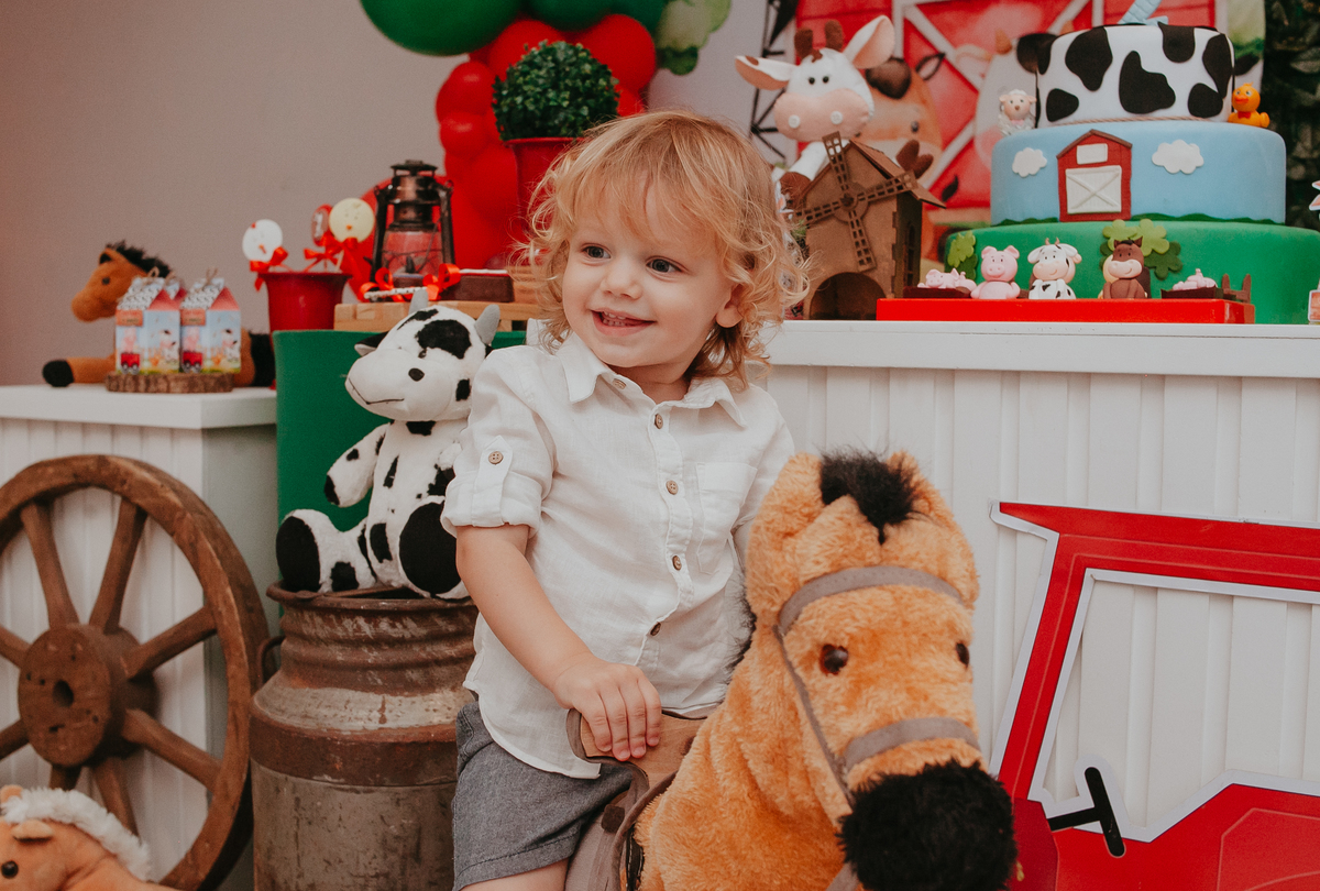 2 ANO, ANIVERSÁRIO, CRIANÇA, FESTA, INFANTIL, MENINO, PATRICIA LOPES, SÃO LEOPOLDO