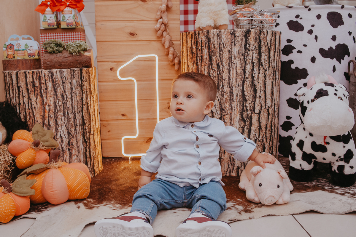 1 ANO, ANIVERSÁRIO, CRIANÇA, FESTA, INFANTIL, MENINO, PATRICIA LOPES 