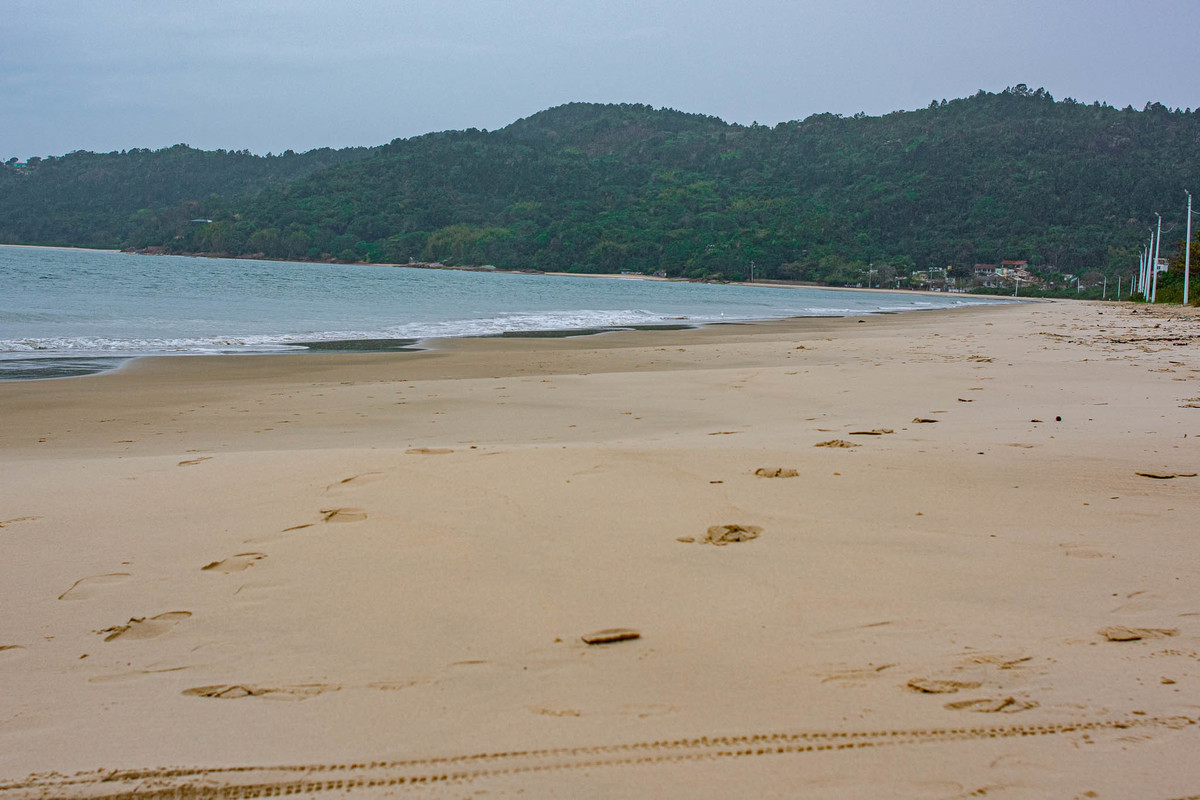 Praia do Ribeirão da Ilha