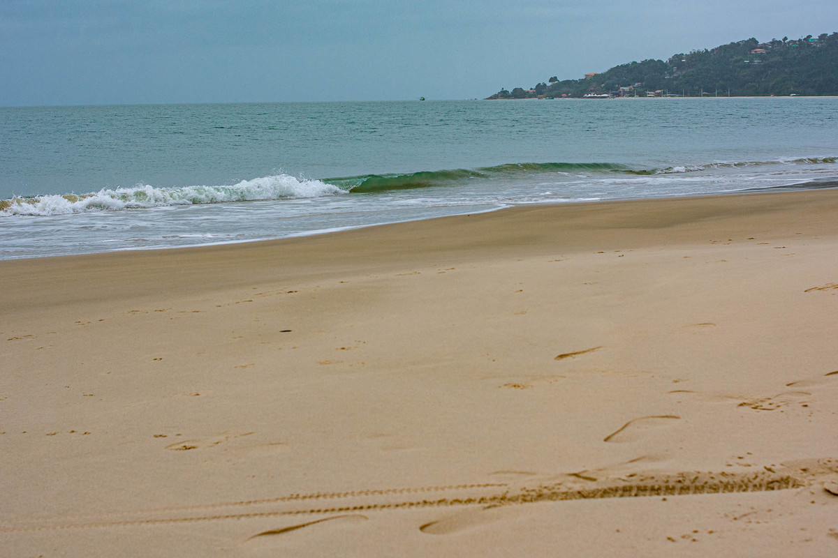Praia do Ribeirão da Ilha